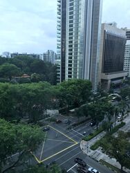 The Scotts Tower (D9), Condominium #377595581